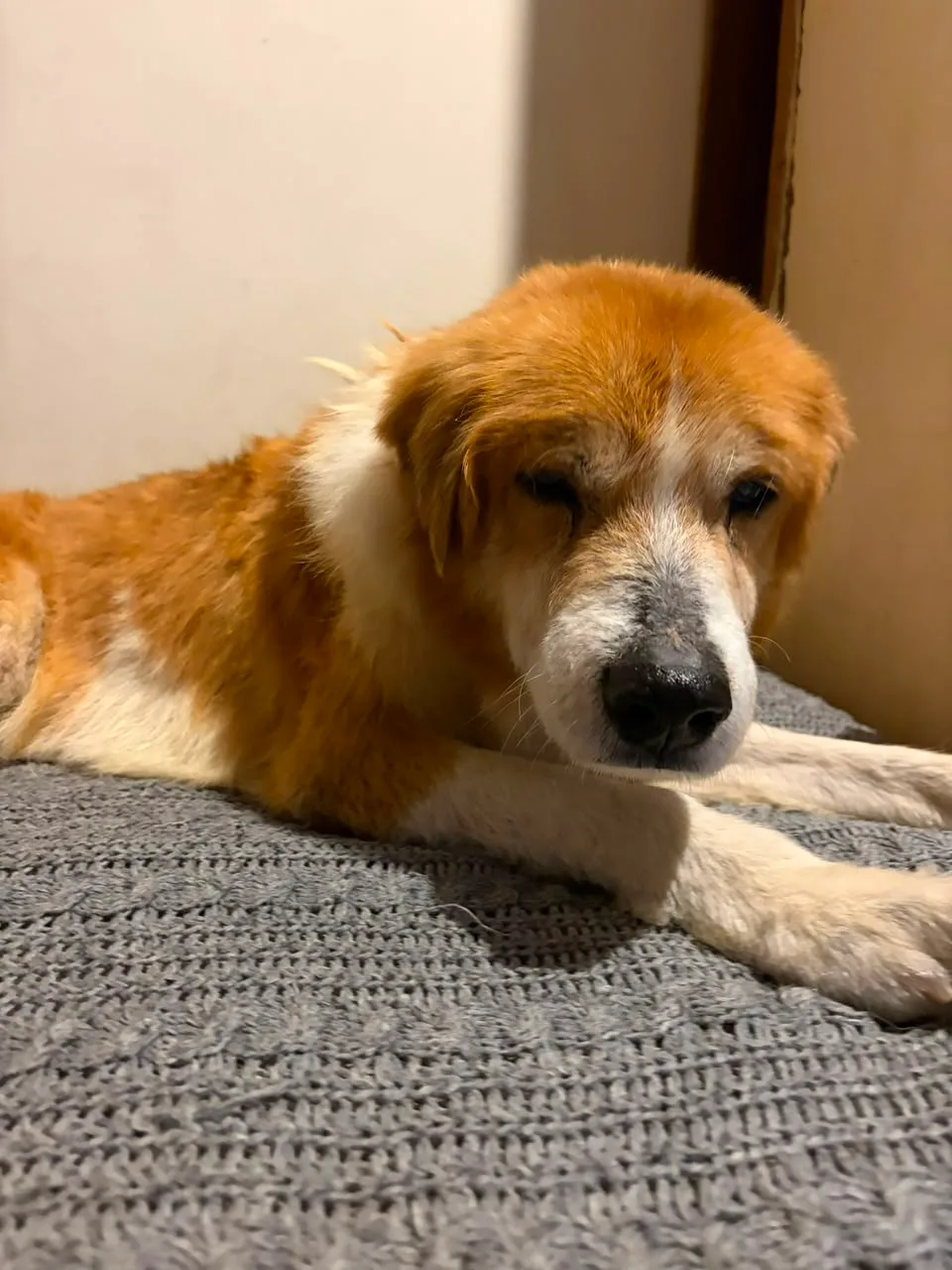 Foto de Tino